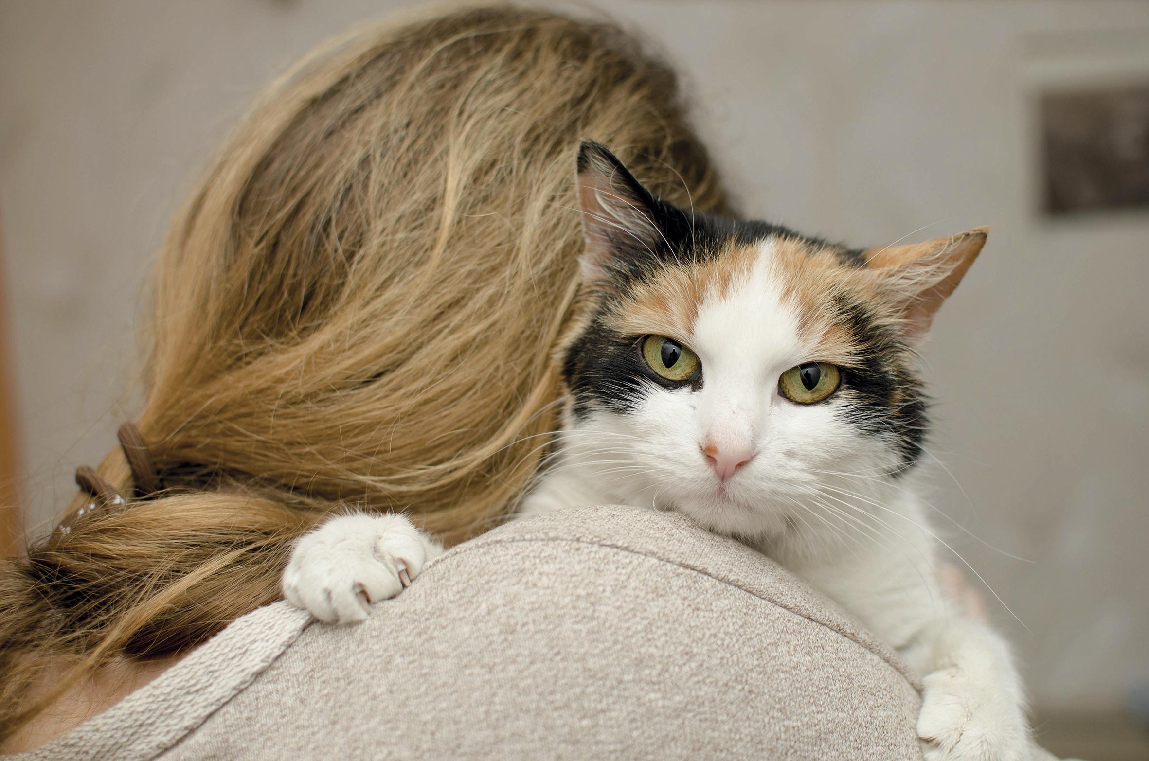 Frau mit Katze auf dem Arm, die ihr über die Schulter schaut